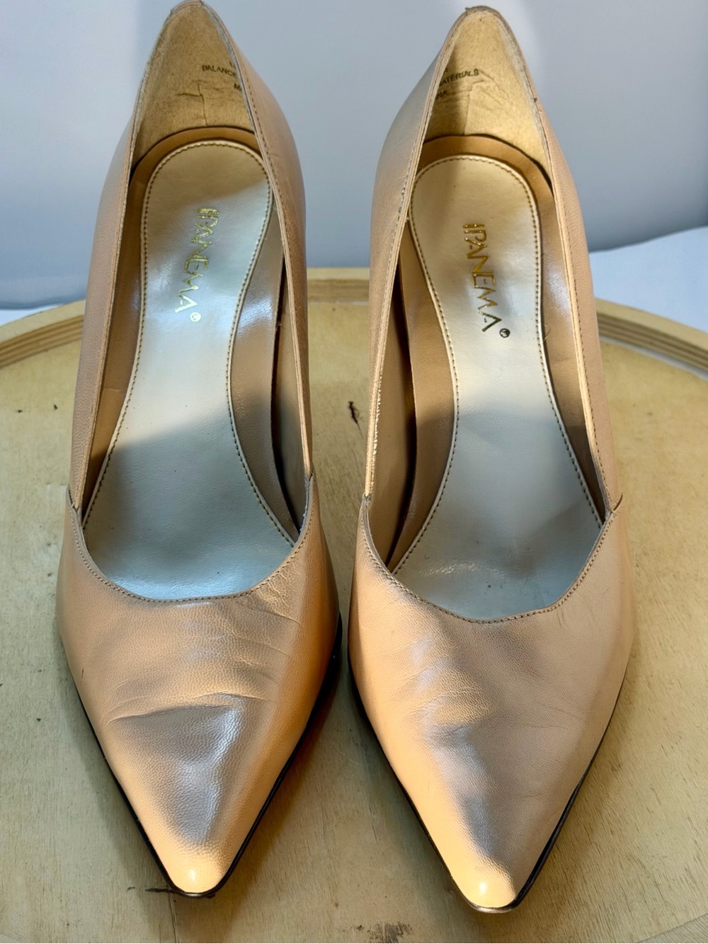 IPANEMA  Winter Nude Pointed-Toe Pump